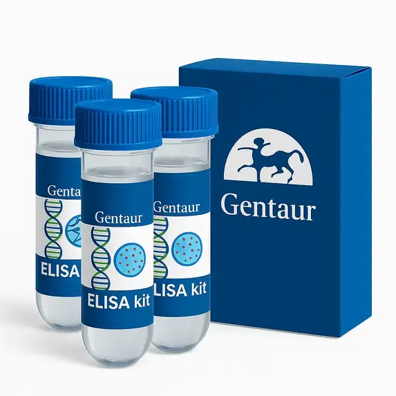 ELISA Recombinant Mycobacterium tuberculosis Undecaprenyl-diphosphatase(uppP)